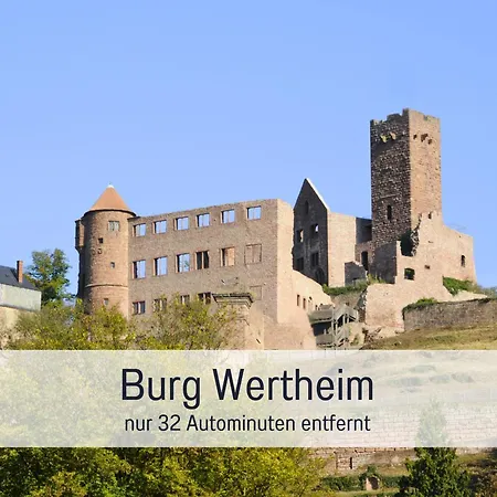 Lamm Heimbuchenthal