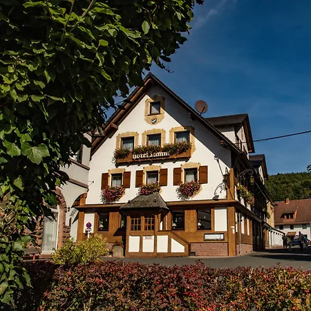 Hotel Lamm 4*